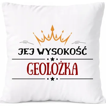 Obraz Dárek Polštář s potiskem chemika, bílý PoliDraw