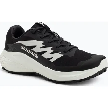 Dámská běžecká obuv Dámské běžecké boty Salomon Alphaglide black/phantom/icicle