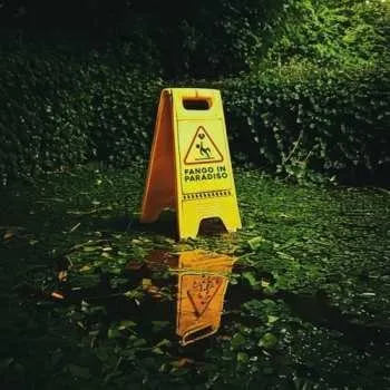 Zahraniční hudba CD Francesca Michielin: Fango In Paradiso LTD 2025 Limited Edition