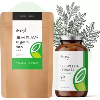 Balíček - leaky gut