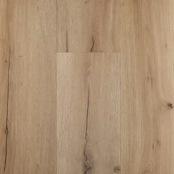 vinylová podlaha Vinylová podlaha ShowHome lepená 2.5mm GD-2667 Oak Haven