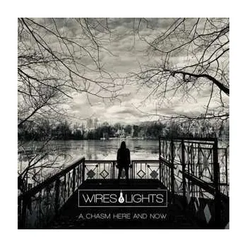 Zahraniční hudba 2LP Wires & Lights: A Chasm Here And Now LTD 2021 Limited Edition Vinyl