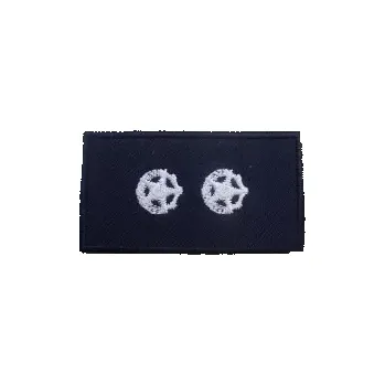 Hodnostní označení Starší hasič