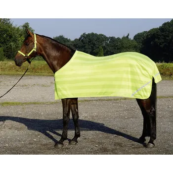 Deka pro koně BUSSE Deka reflexní Reflection BUSSE, 0 g, yellow Délka zad: 125 cm