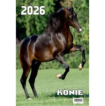 Kalendář Kalendarz ścienny 2026 13-kartkowy 2026 Koty