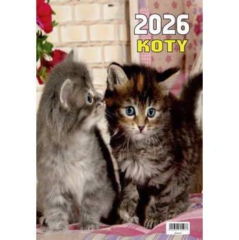 Kalendář Kalendarz ścienny 2026 13-kartkowy 2026 Koty