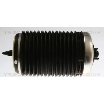 Vzduchová pružina, podvozek TRISCAN 8720 29203