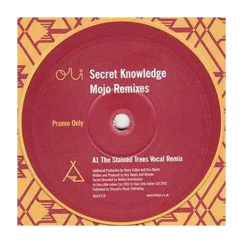 Zahraniční hudba LP Secret Knowledge: Mojo (Original Dub) 2002