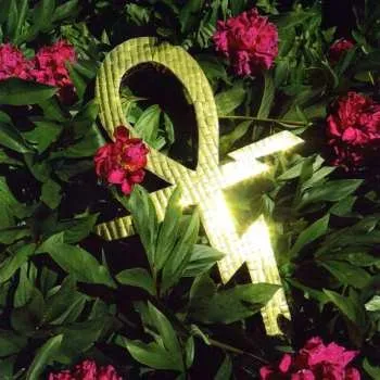 Zahraniční hudba SP Temples: Paraphernalia LTD | CLR 2021 Magenta Neon Vinyl Limited Edition