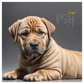 Kalendář Kalendarz ścienny duży 2026 Psy\n KD-20 - ..