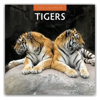 Encyklopedie Tigers - Tiger 2026 - 16-Monatskalender - Red, Robin