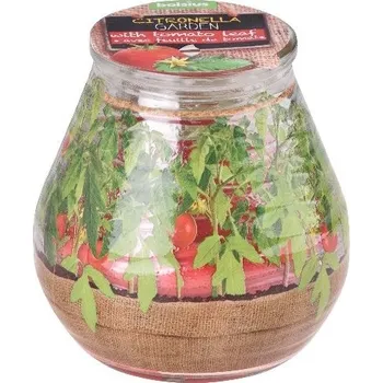 Svíčka Citronela vonná svíčka ve skle design cherry rajčátka 90x94 mm 377 gram