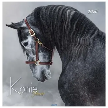 Kalendář Kalendarz ścienny duży 2026 Konie\n KD-22 - ..