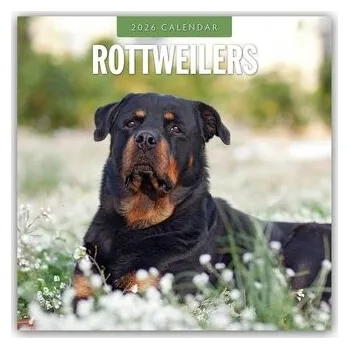 Rottweilers - Rottweiler 2026 - 16-Monatskalender - Red, Robin