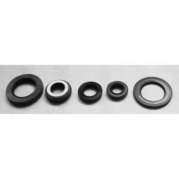 Těsnění motoru TOURMAX sada gufer motoru YAMAHA SZR 660 95-97, XT 600E 96-99 vyrobeno v Japonsku (TOURMAX sada gufer motoru YAMAHA SZR 660 95-97, XT 600E 96-99 vyrobeno v Japonsku)