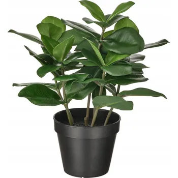 umělá květina IKEA FEJKA Umělá rostlina v květináči Klusie, 12 cm