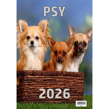 Kalendář Kalendarz ścienny 2026 13-kartkowy 2026 Psy