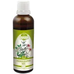 Andrographis mix 50 ml