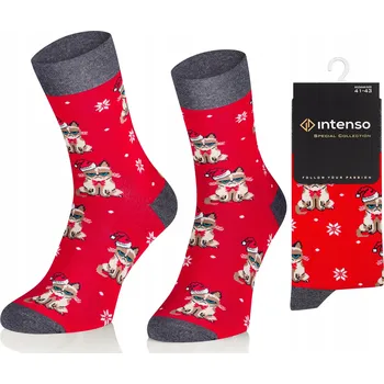 Pánská móda Intenso Ponožky 1887_S20 vícebarevné, velikost 41-43