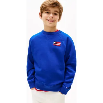 Chlapecká mikina Dětská mikina Tommy Hilfiger fialová barva, s potiskem, KB0KB09571 KB0KB09571.PPYA 54X, vel. 164