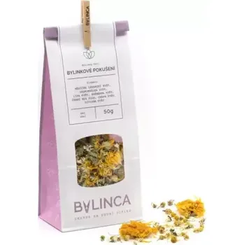 Čaj Bylica Bylinný čaj Bylinkové pokušení 50g