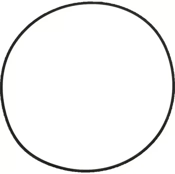 Kroužek 260x5 FKM75 | 2731103930; TW00296 | AGROAD