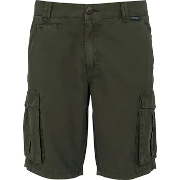 Pánské kraťasy Pánské kraťasy Regatta Shorebay Shorts II Velikost: S / Barva: zelená