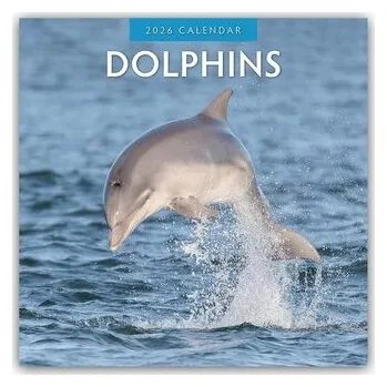 Encyklopedie Dolphins - Delfine 2026 - 16-Monatskalender - Red, Robin