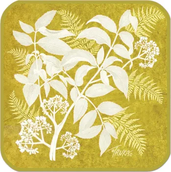 Chňapka Bavlněná podložka pod hrnec - Zlaté kapradí