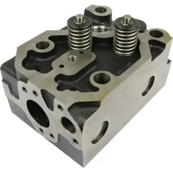 Válec motoru Hlava válce kompletní s ventily univerzální černá, šteft M16 | 7101-0501K-5U; 6901-0551; 7101-0551 | AGROAD