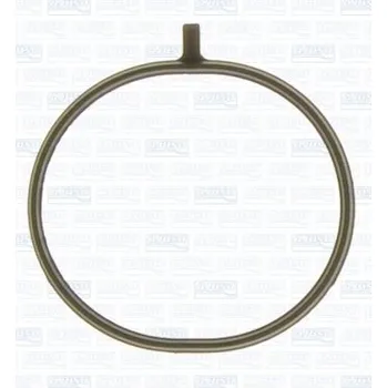 Těsnění motoru Těsnění, koleno sacího potrubí AJUSA 01238800