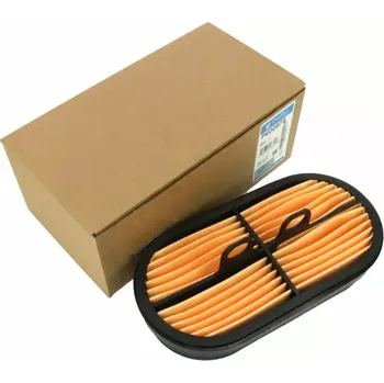 Vzduchový filtr Donaldson Vzduchový filtr pro SOLIS 75/90 | 300172555A | AGROAD