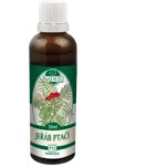 Jeřáb ptačí (P55)