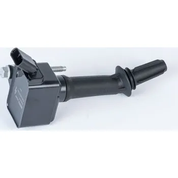 Zapalovací cívka Zapalovací cívka BorgWarner (BERU) E2010052304A1