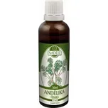 Naděje Andělika čínská (T60) 50 ml