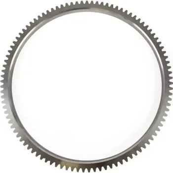 Setrvačník motoru Věnec setrvačníku 100zubů | MT03321; TK-10; TZ03011-A | AGROAD