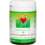TČM Herbs Spadnutí kamene ze srdce (081) 100 tbl.