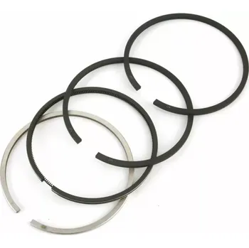 Píst motoru CZ Sada pístních kroužků pr.100/4kr. | 6011-0096 | AGROAD