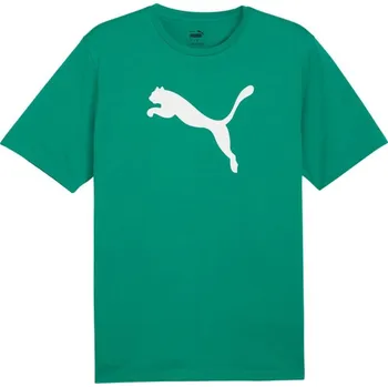 Pánské oblečení Puma Team Rise Logo Jersey Cotton M 658705 05 pánské m