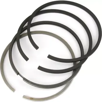 Píst motoru CZ Sada pístních kroužků pr.102/4kr. | 5011-0096; 5011-0099 | AGROAD