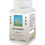 Klíč do zámku 100 g