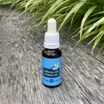 Energie rostlin Bachova esence Dobrou noc a klidné sny 20 ml