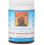 TČM Herbs Zpevnění podemletého břehu 100 tablet