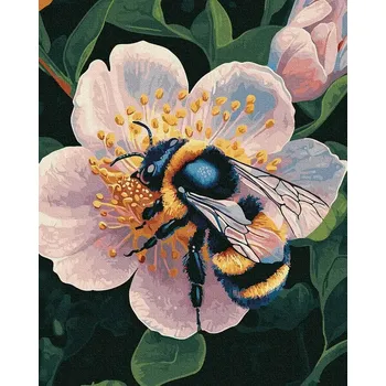 Malování podle čísel iPicasso zlatá metalická barva 40x50 cm na rámu