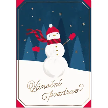 Set školních potřeb Vánoční přání - Sněhulák s kulichem a šálou - Albi