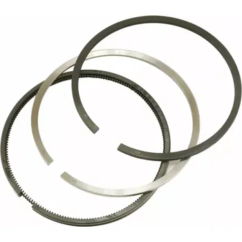 Píst motoru CZ Sada pístních kroužků pr.110/3kr.TURBO | 80.483.300; 50011178; 89.003.900; 89.003.991 | AGROAD