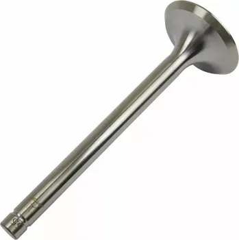 Ventil motoru AMP Sací ventil (UŘI) | 6901-0555-1 | AGROAD