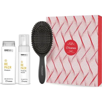 Kosmetická sada Framesi Vánoční balíček Repair šampon 250 ml + pěna 150 ml + kartáč na vlasy