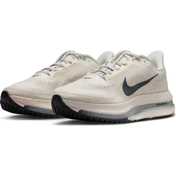 Dámská běžecká obuv Dámské běžecké boty Nike PEGASUS PREMIUM W HQ2593-106 - EUR 42 | UK 7,5 | US 10