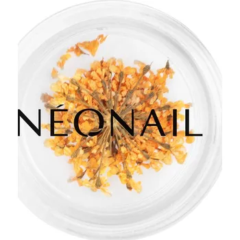 Přípravek na nehty Květinová dekorace 03 Orange